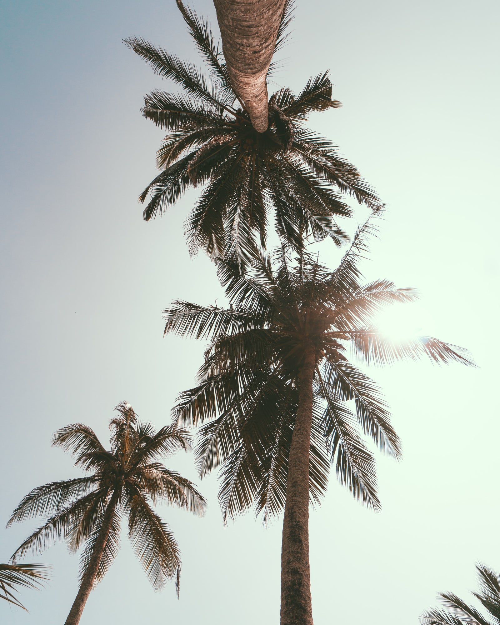 Locally Made Under the Southern California and Florida Sun